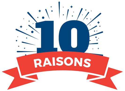 10 raisons pour lesquelles vous devriez investir dans une moustiquaire pour votre maison