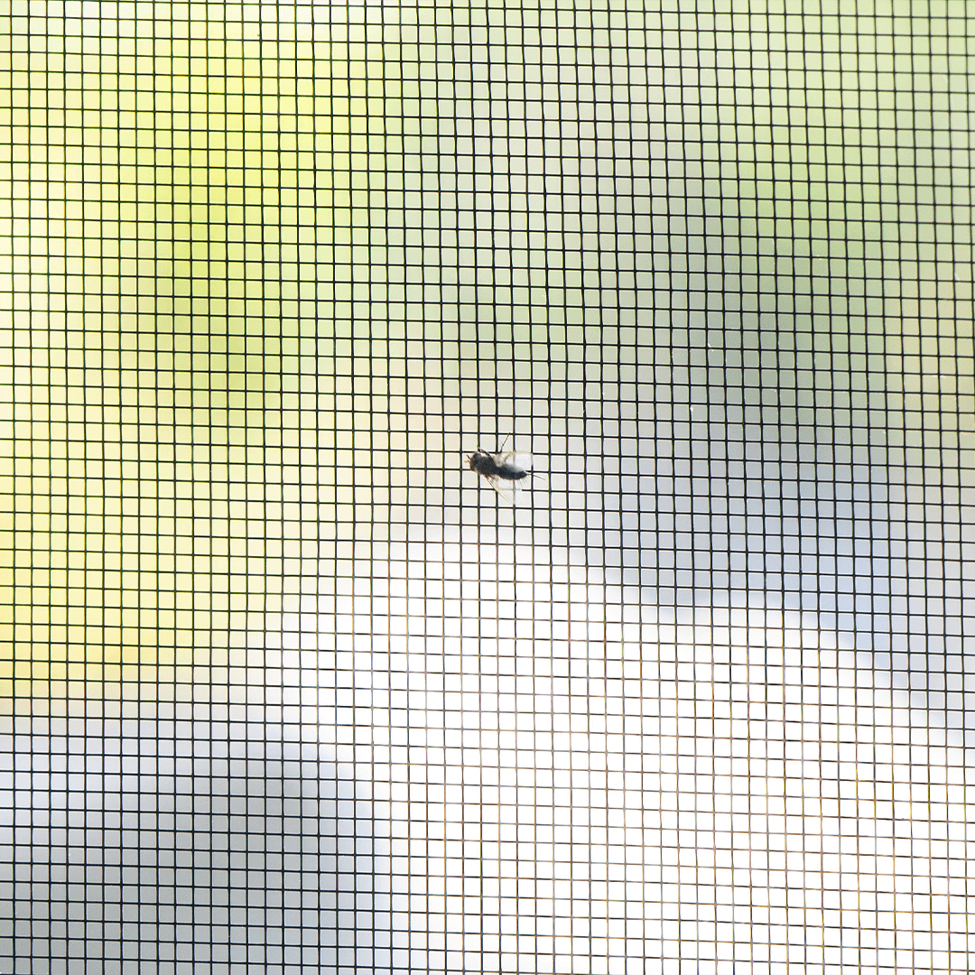 MOUSTIQUAIRE magnétique FENÊTRE MOSKILL, showing a black mesh screen fitted on a window frame to keep insects out.