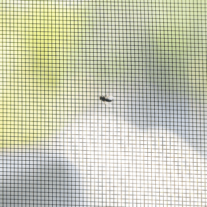 MOUSTIQUAIRE magnétique FENÊTRE MOSKILL, showing a black mesh screen fitted on a window frame to keep insects out.